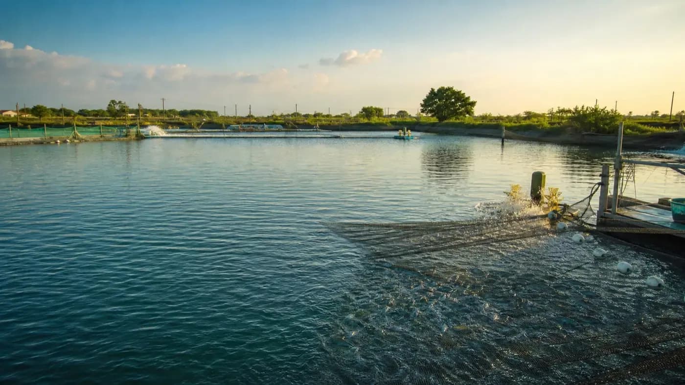 seafood-farm-scene